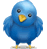 Twitter Logo